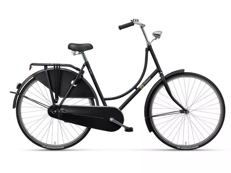 Batavus Biciclette: Batavus Old Dutch from 2020 – Usato da Schlieren venduto da mel_sn7c