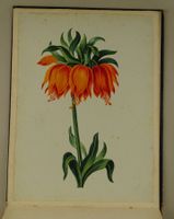 ALBUM MIT EINGEKLEBTEN BLUMENLITHOGRAPHIEN, BIEDERMEIER