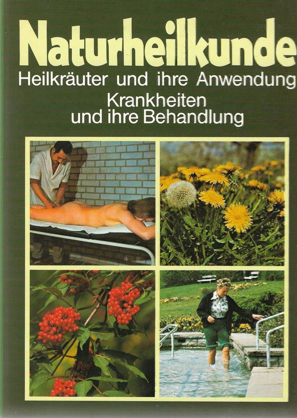 Libri: Naturheilkunde – Usato da Bern venduto da Grindelwaldaus
