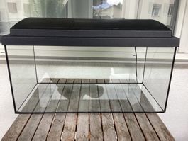 Aquarium 60 Liter komplett mit sämtlichem Zubehör