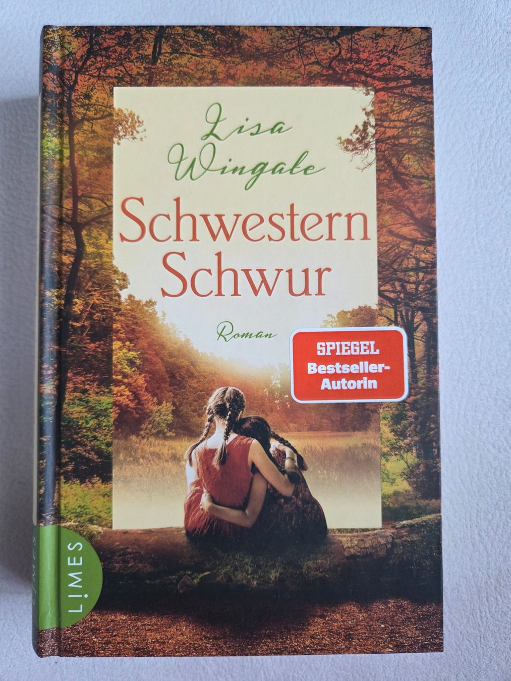 Libri: Lisa Wingate - Schwesternschwur – Usato da Bergdietikon venduto da Tanne_10