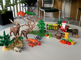 Playmobil 4155 Adventskalender Edition Wald