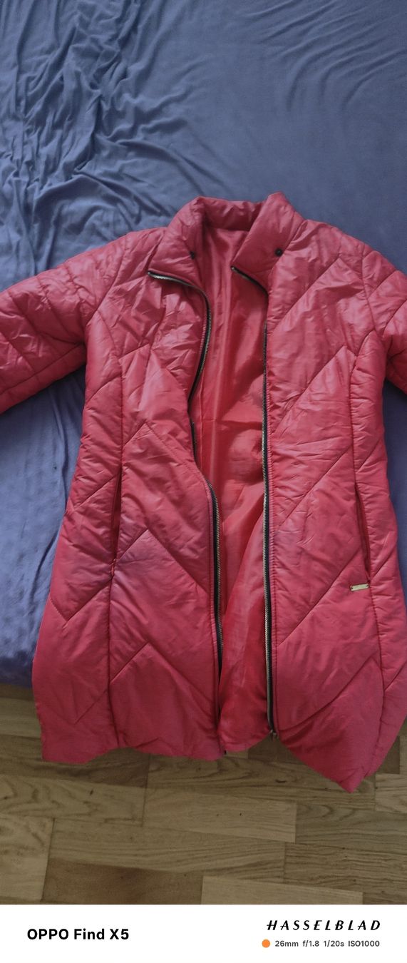 Giacche: Damen Windjacke Gröss L – Usato da Unterentfelden venduto da igs_nj72 1