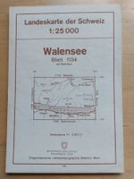 Landeskarte der Schweiz - WALENSEE_1