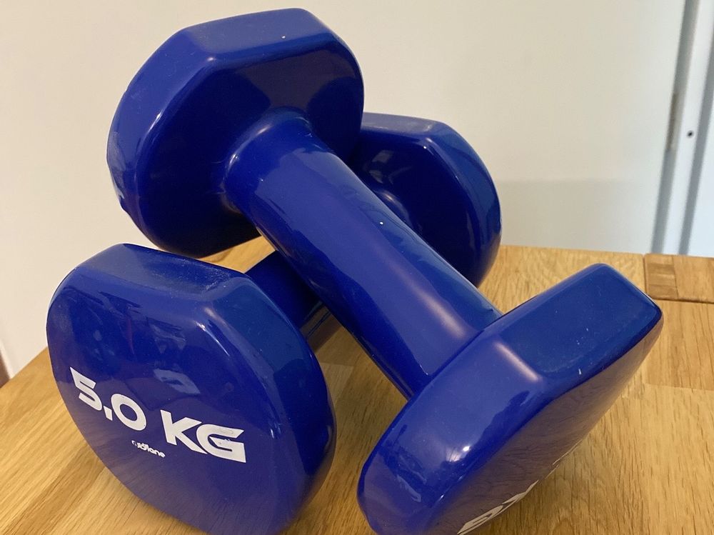 5kg dumbbells discount price in decathlon