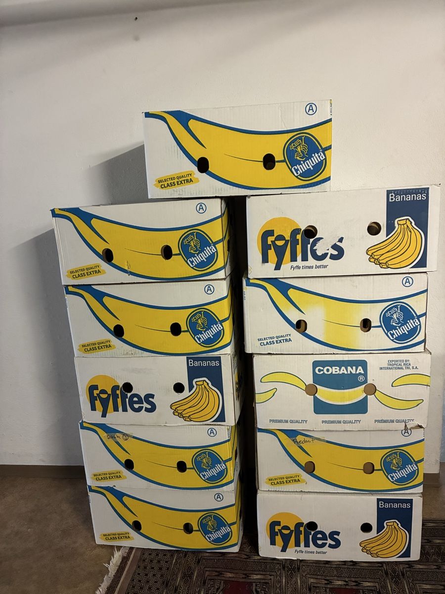 Cartoni: 11 Bananenschachteln  – Usato da Gränichen venduto da SabineZ01