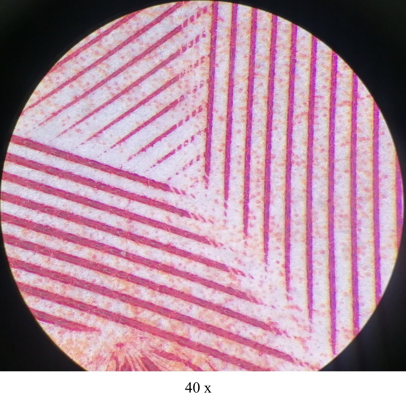 Leica Microscopi: Stereo-Mikroskop LEICA MS5 mit Ringlicht – Usato da Kerns venduto da Tuctuc2 8