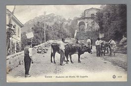 1907, VARESE, SPLENDIDO PRIMO PIANO ANIMATO