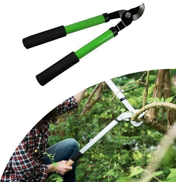 Tutti gli attrezzi: Astschere /  Baumschere handlich klein 38cm + scharf – Nuovo e nell'imballaggio originale da St. Gallen venduto da schnaeppchen-preise 1