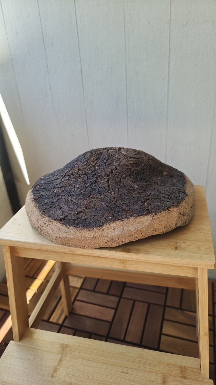 Toutes les décorations: Natural Cork Bark Bowl Decorative Object Handmade Unique – Neuf avec emballage d'origine à Zürich par Mgaiovitoria 2