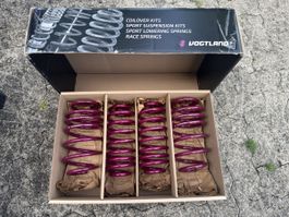Vogtland Sport Lowering Springs 951301 35mm Seat Leon