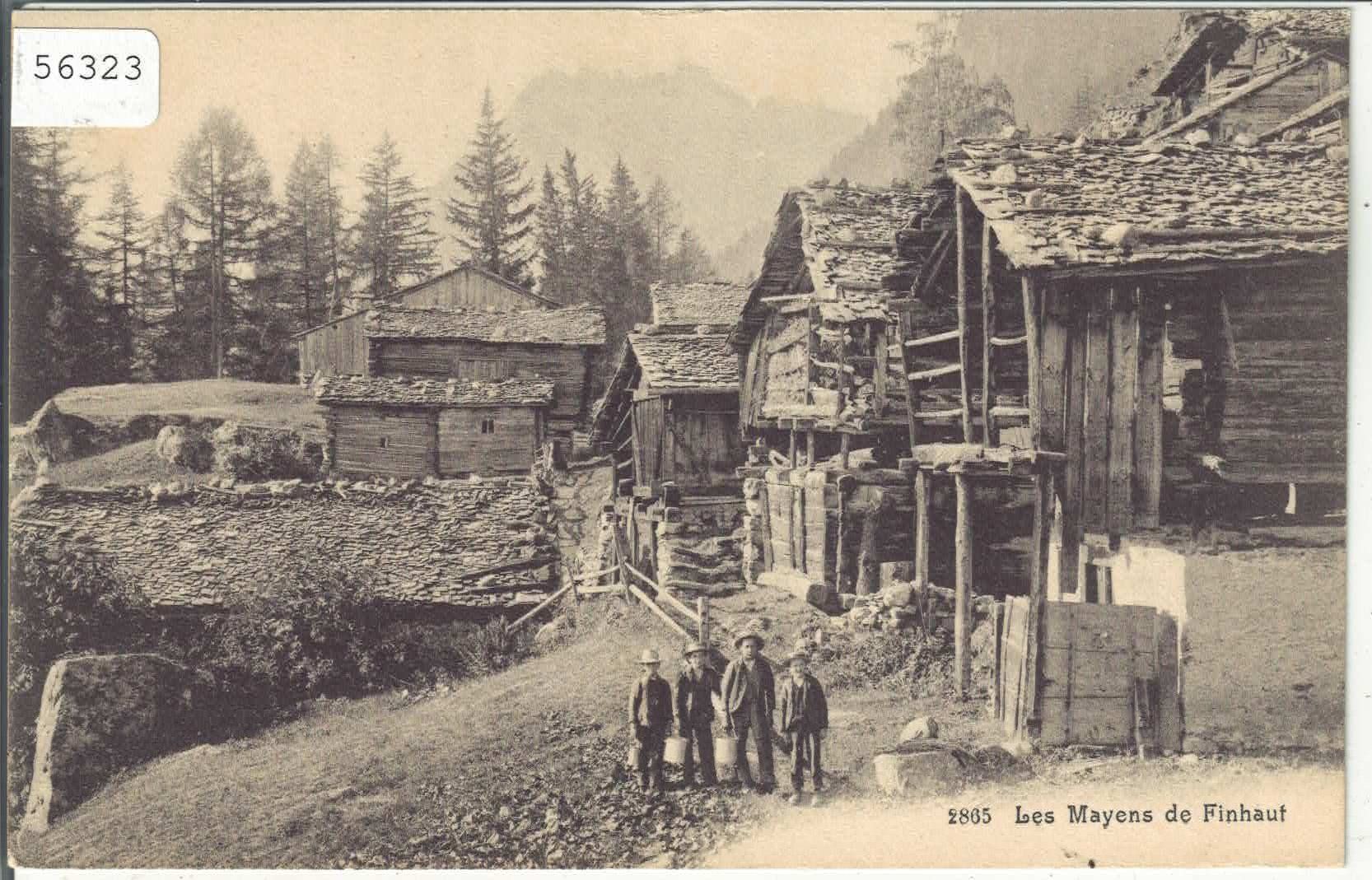 Cartes postales: Les Mayens de Finhaut - animee – D'occasion à Ettingen par Kartenplanet