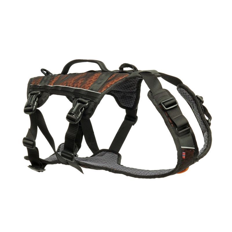 Collier et laisse: Brustgeschirr – Neuf (Voir description) à Wangen SZ par ca018