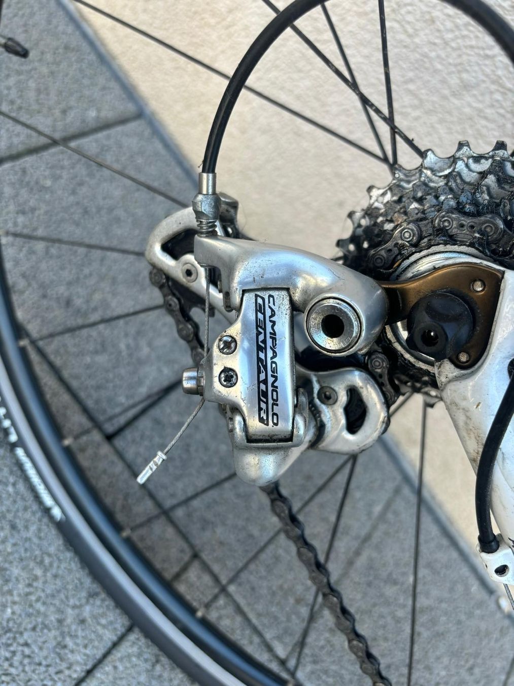 Pinarello Biciclette: Pinarello fp3 campagnola carbon – Usato da Thusis venduto da naom 1
