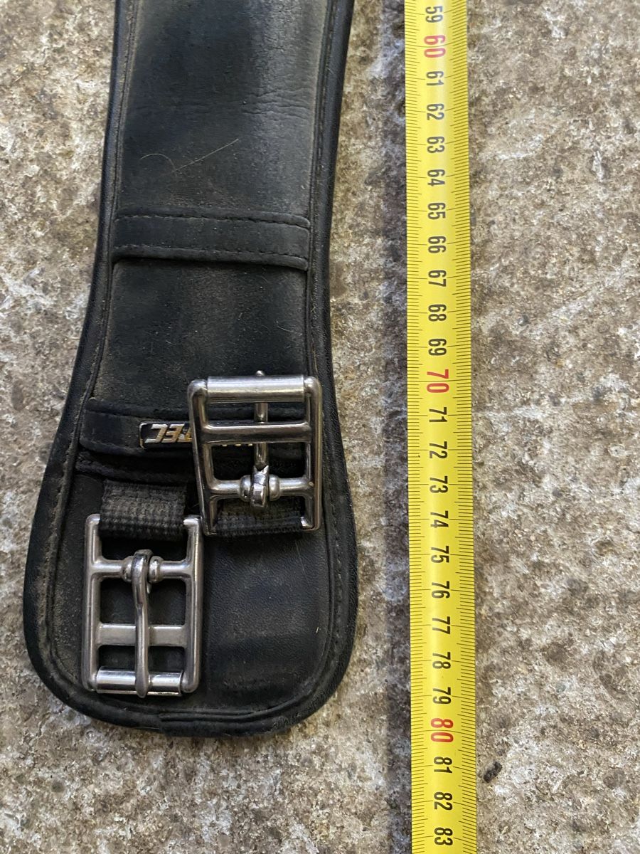 Selles, accessoires: Sattelgurt – D'occasion à Lenggenwil par ale_r8nj 1