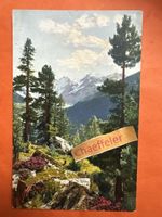 Schweiz Partie an der Berninabahn. 