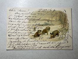 Alte-Ansichtskarte mit Wildschweinen im Schnee!