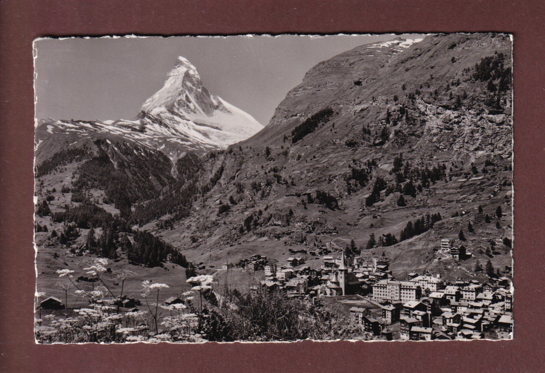 Ansichtskarten: ZERMATT - Matterhorn - 1951 – Gebraucht aus Pully von nicecards-shop