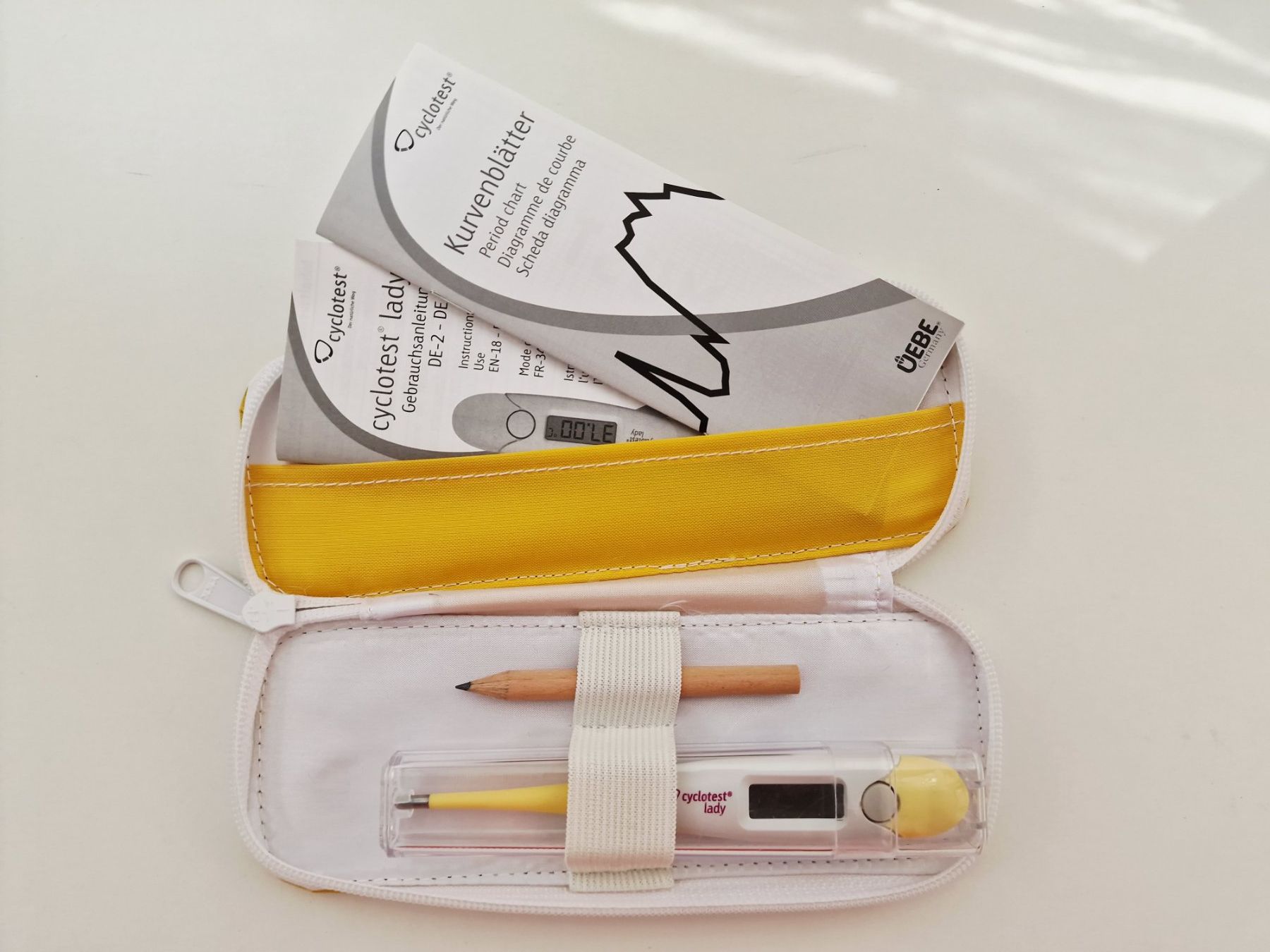 Altro per la casa: Cyclotest Thermometer zur Messung Basaltemperatur – Usato da Hallau venduto da CHACLA