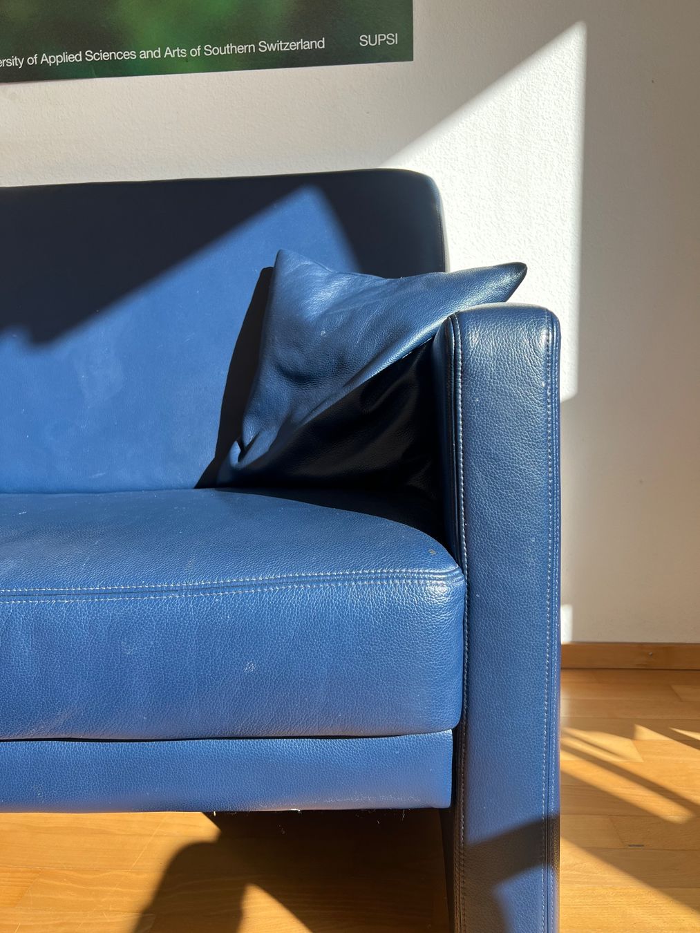 Divani: zwei Designer Ledersofas – Usato da Zürich venduto da oli_l6ps 3