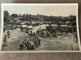 Fotodruck 6x9cm Die Schlacht bei Tannenberg 1914