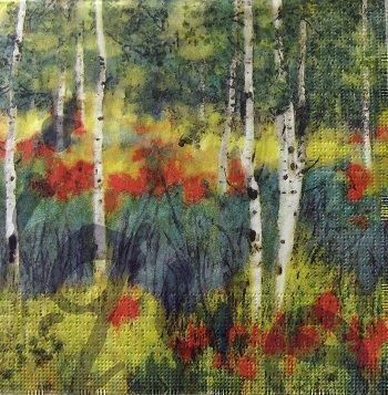 Servietten: Serviette birkenwald (b226) – Neu (gemäss Beschreibung) aus Schlatt TG von kreativ-atelier