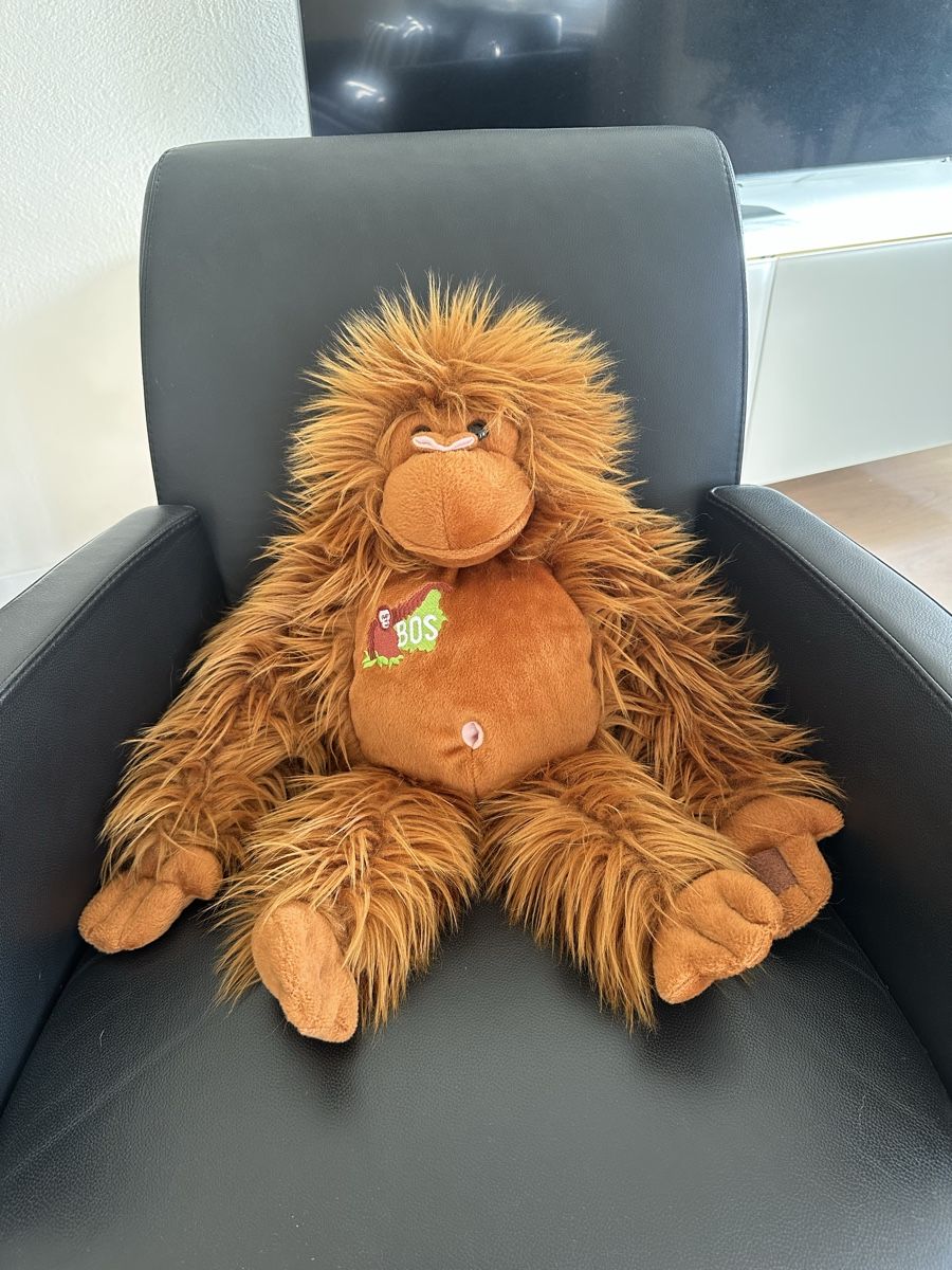 Giocattoli: Orangutan  – Usato da Boppelsen venduto da Raffeli 1