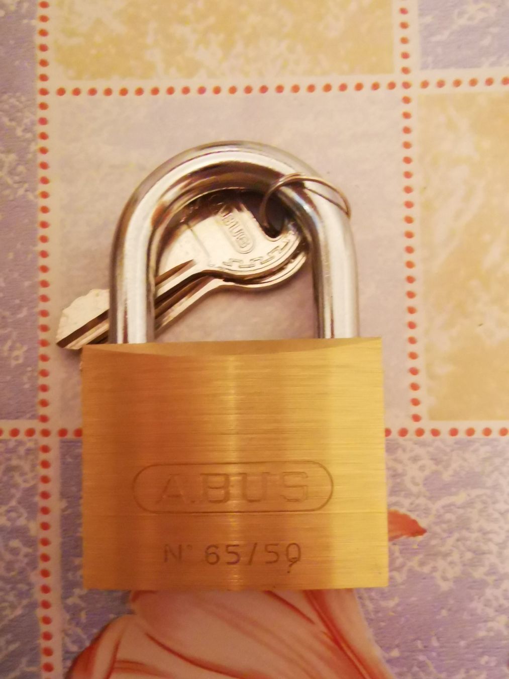 Abus Lucchetti: Cadenas ABUS Nr. 65/50 Neuf avec clés, Sécurité optimale – Usato da Courtepin venduto da Fin_dj7p 1