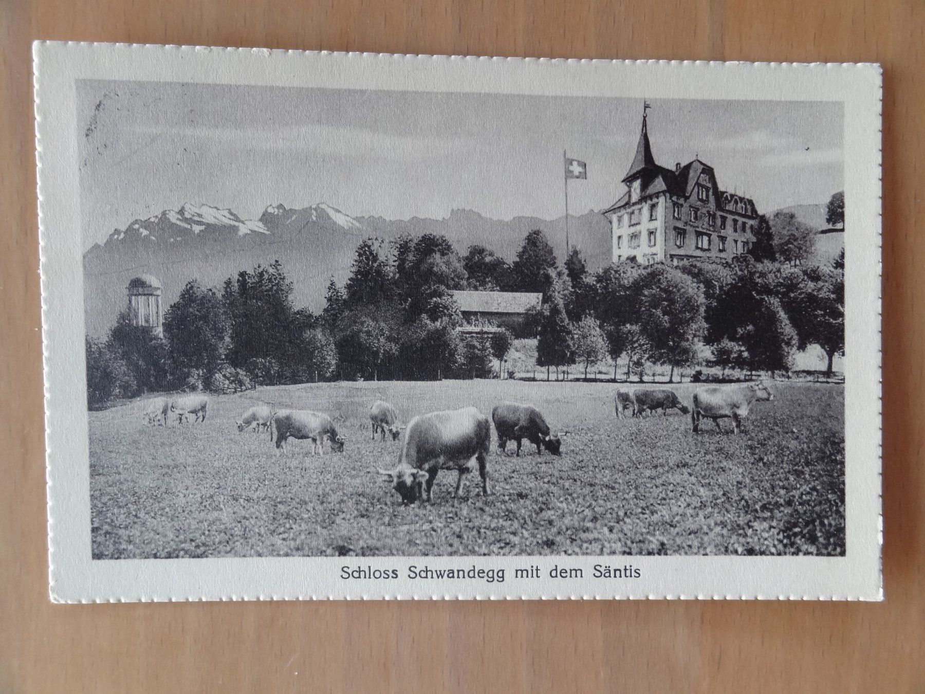 Cartoline postali: Schloss Schwandegg mit dem Säntis - 1925 – Usato da St Léonard venduto da Riglin