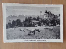 Schloss Schwandegg mit dem Säntis - 1925