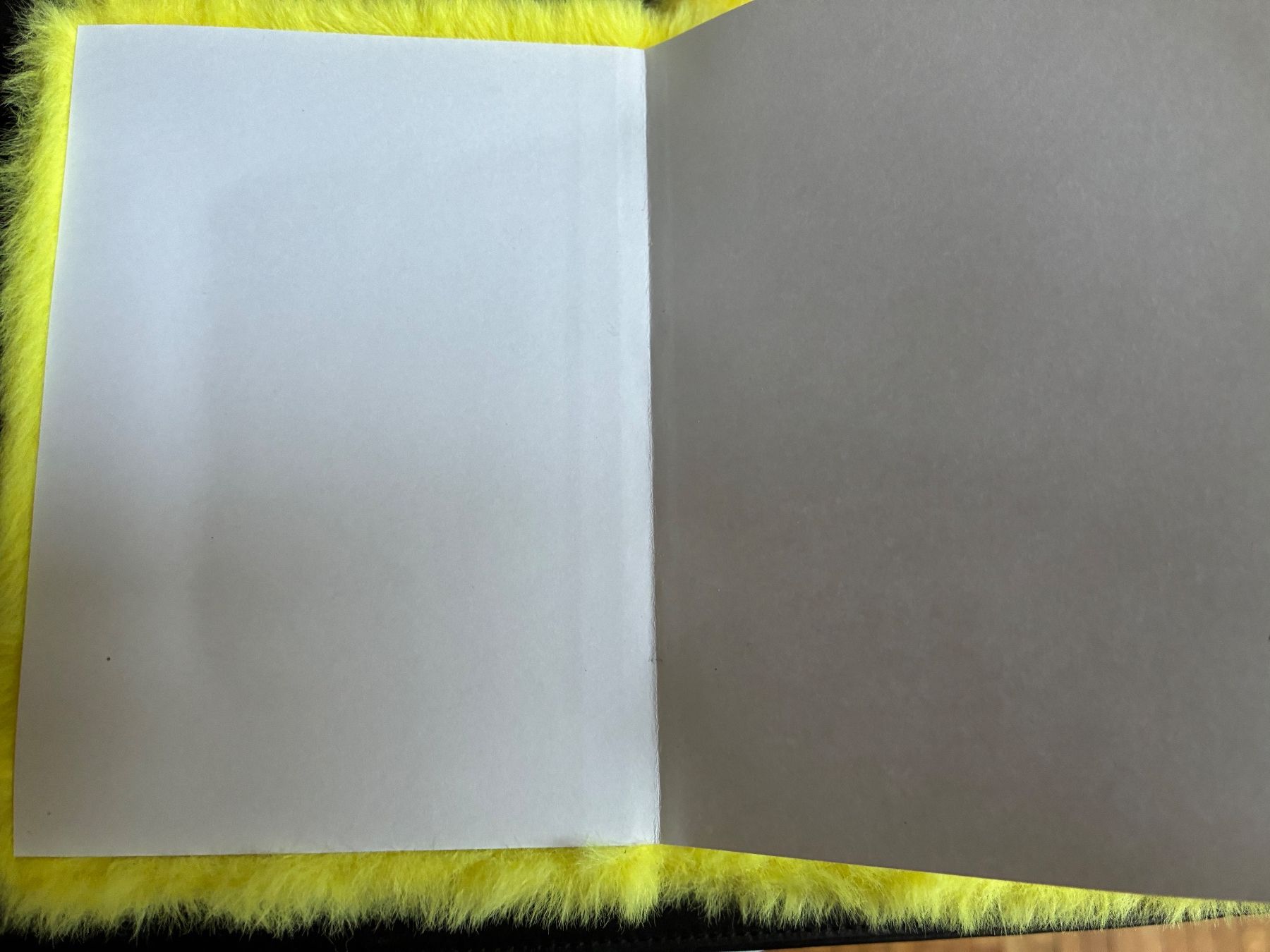 Blocchi: 2 Pokémon Notiz Bücher – Nuovo (secondo la descrizione) da Stäfa venduto da manuel.nicola 1