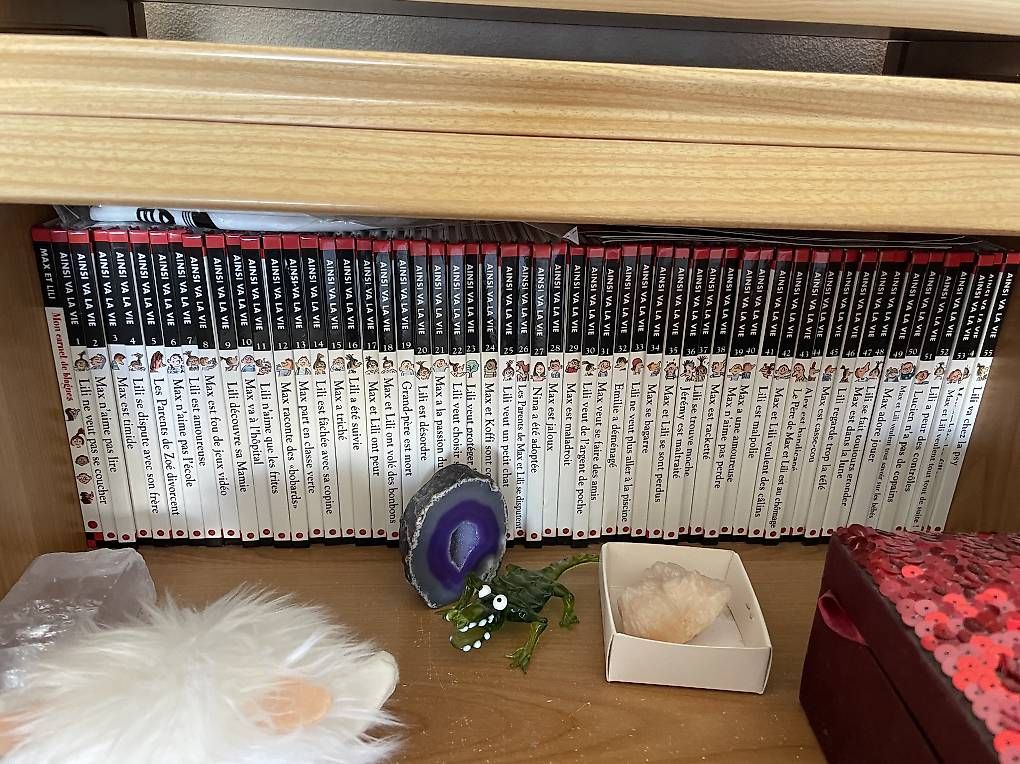Bücher: Collection complète Max et Lili numéro 1 à 123 – Gebraucht aus Martigny von gai_2l9l