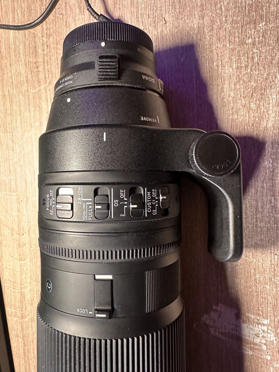Sigma Obiettivi: Sigma 150-600 EF mit MC11 EF - sony E – Usato da Langwies venduto da nik_c2pk 3