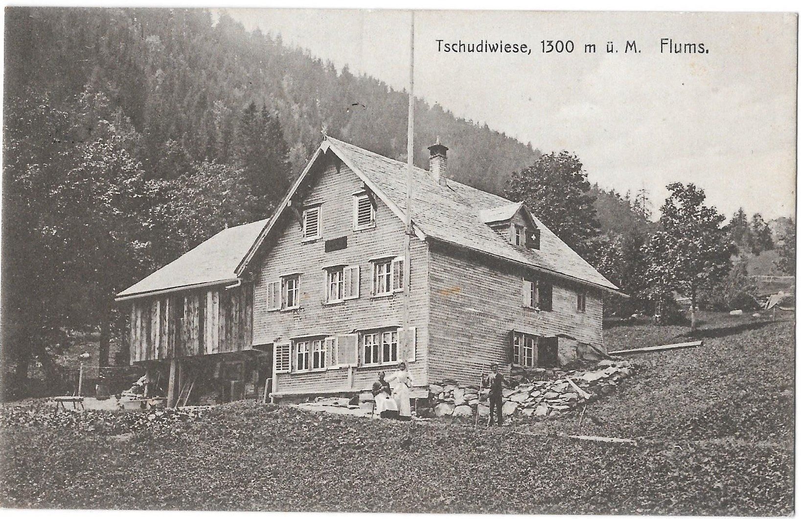 Cartoline postali: Flums Tschudiwiese – Usato da Olten venduto da clotaldi