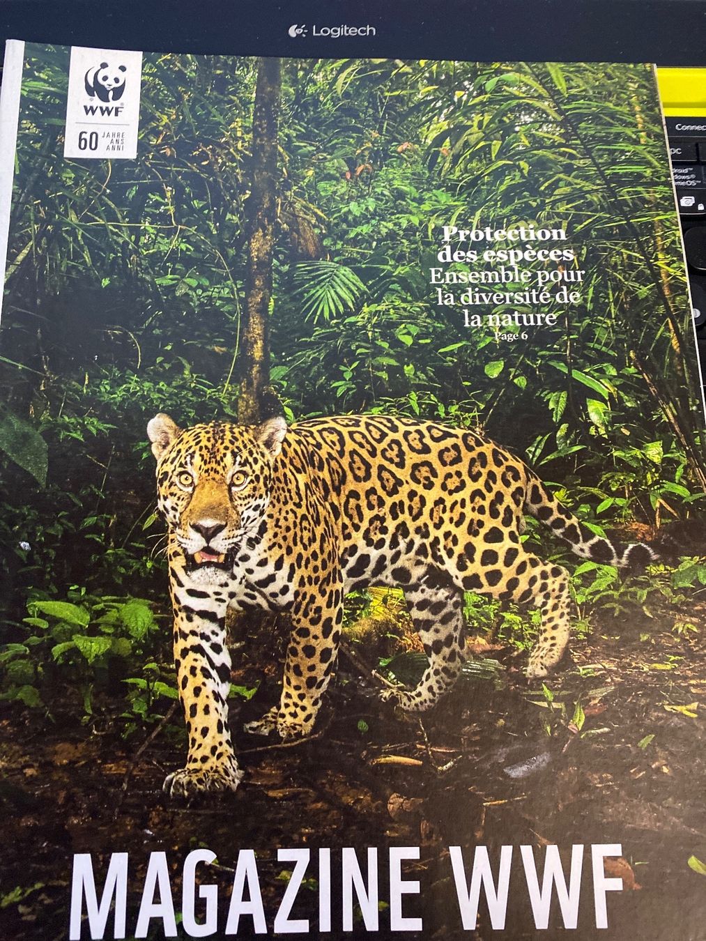 Riviste & Magazine: MAGAZINE WWF - MARS 2021 – Usato da Le Brassus venduto da cinema13