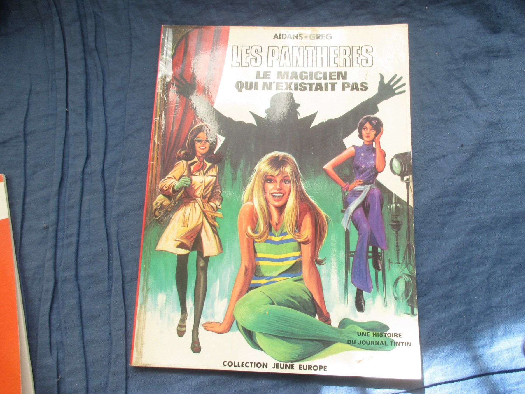 Comics: Les Panthères : Le magicien qui n'existait pas, e.o. – Gebraucht aus Colombier NE von Nevenma