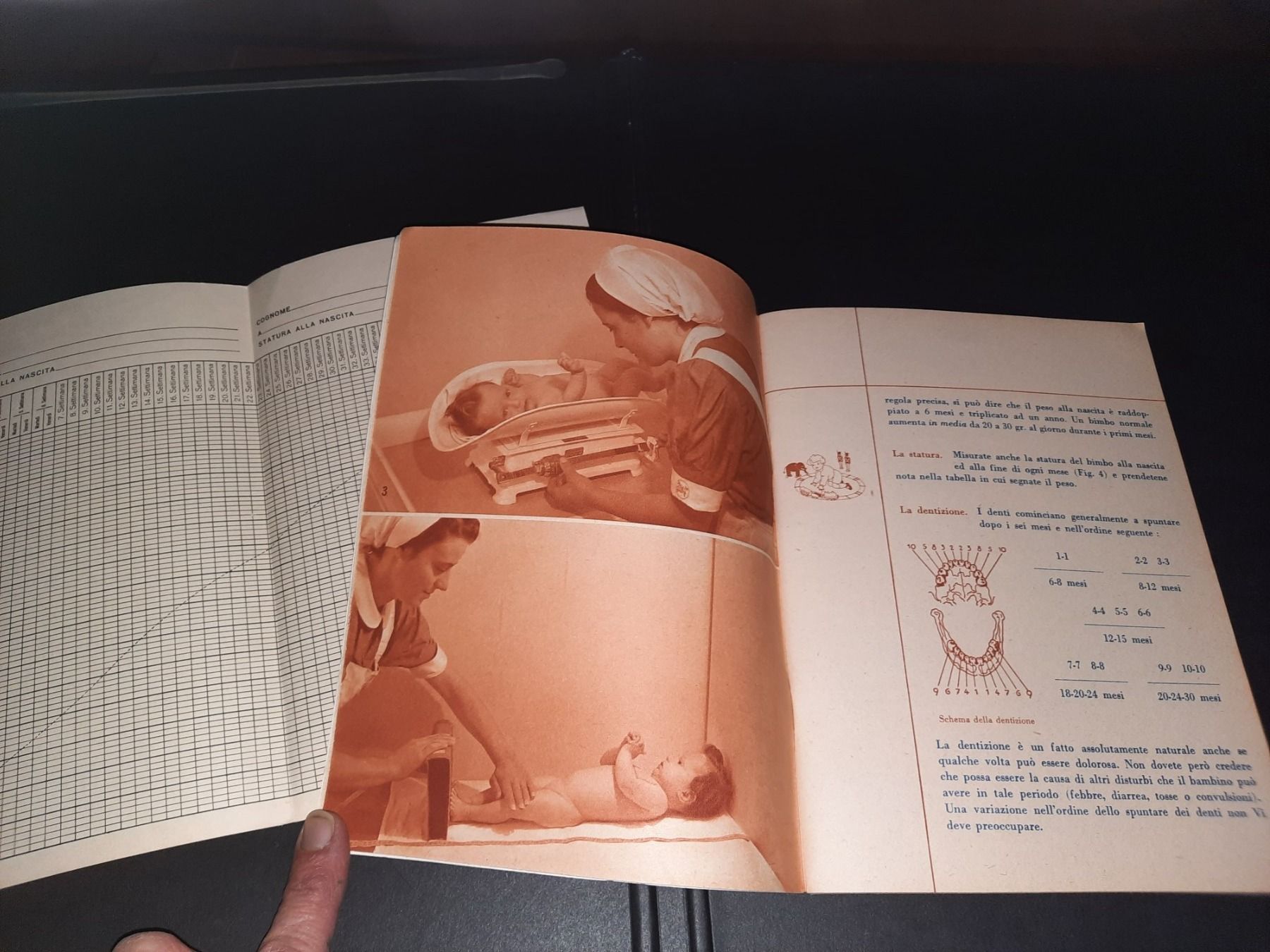 Libri: Opuscolo Nestlè anni 50 per i neogenitori – Usato da Biasca venduto da Old_6blh 1