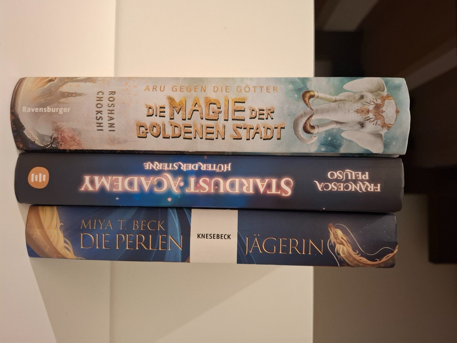 Bücher: Fantasy Bücherpaket – Neu (gemäss Beschreibung) aus Küssnacht am Rigi von awalde