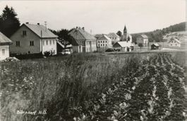 Bärnkopf  (Österreich - N. Ö.)      um 1966