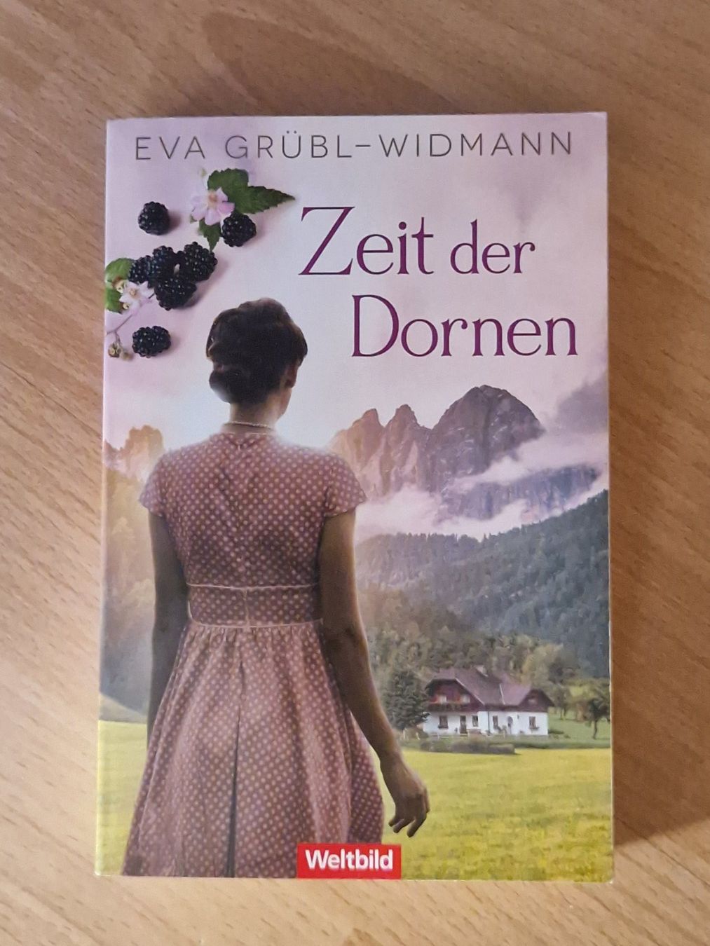 Libri: Eva Grübl-Widmann Zeit der Dornen – Usato da Neuhausen am Rheinfall venduto da Alchimista