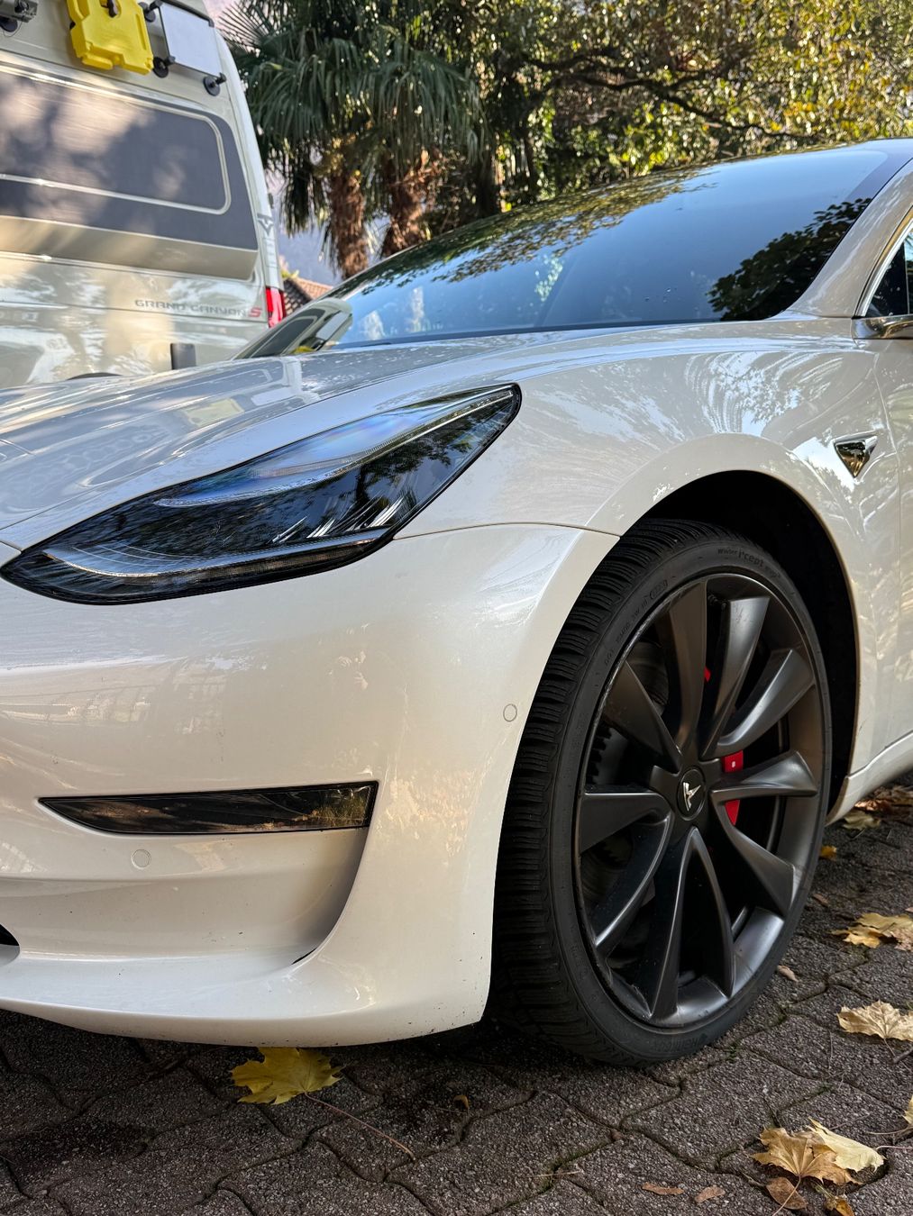 Tesla Automobili: Tesla Model 3 Perfomance & Full Self Driving – Usato da Tegna venduto da gae_657d 2
