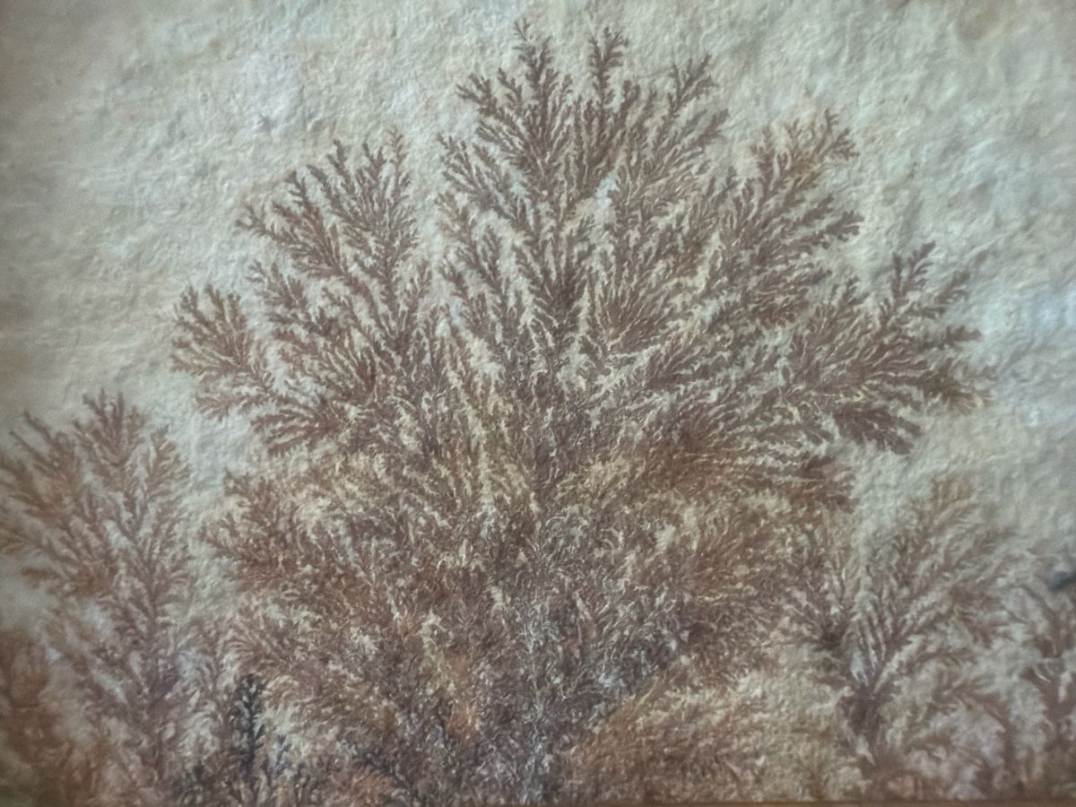 Minerali & Pietre curative: Mineralienbild Dendriten top Zustand – Nuovo (secondo la descrizione) da Fehraltorf venduto da T678 1