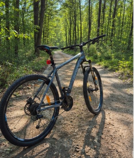 Leopard Biciclette: Leopard Mountain Bike Grey Size L Good Condition – Usato da Bischofszell venduto da sza_m2kt 1