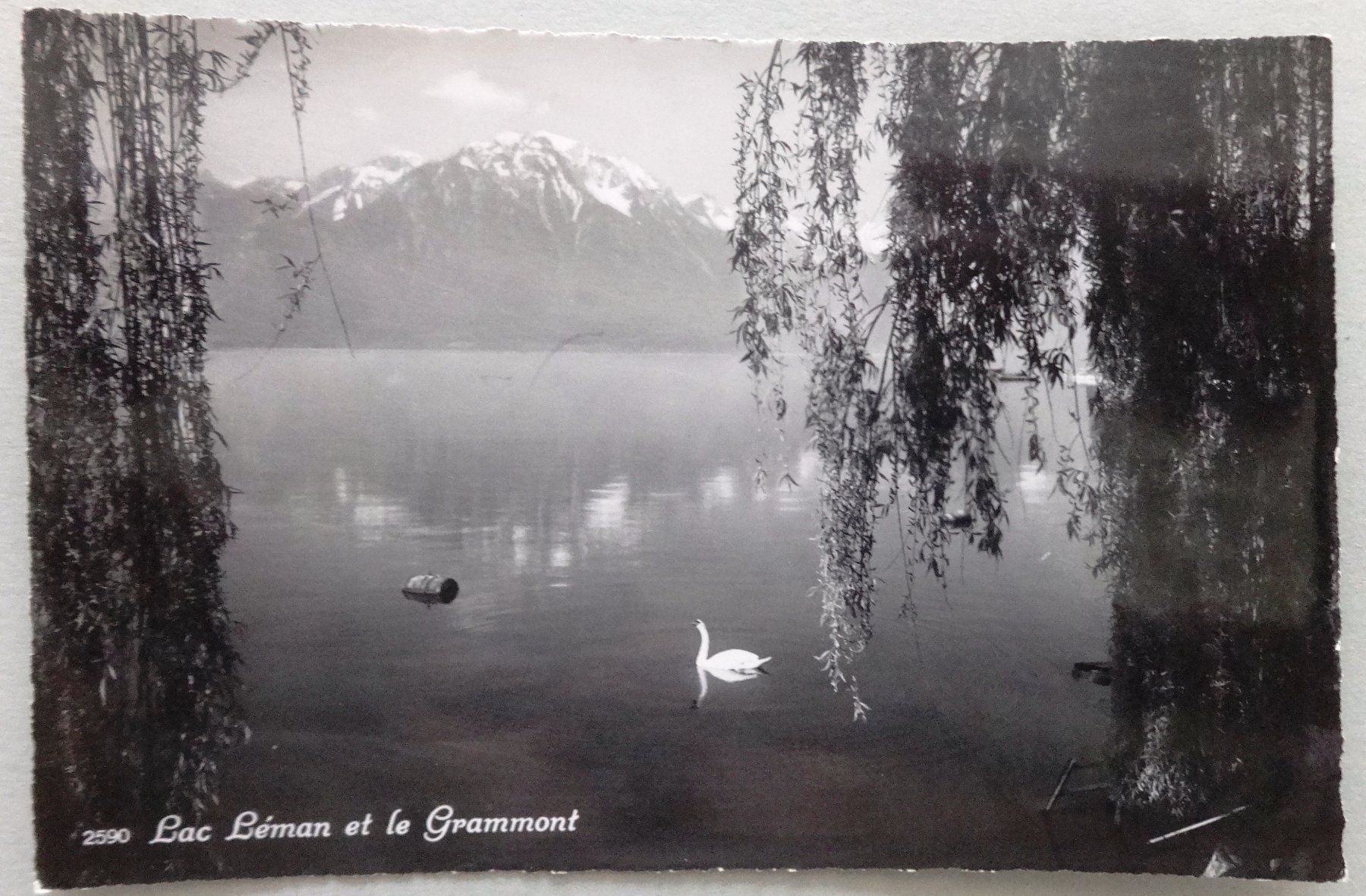 Cartes postales: Lac Léman et le Grammont – D'occasion à Fétigny par Billy2miny