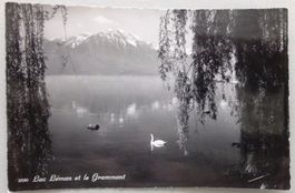 Lac Léman et le Grammont