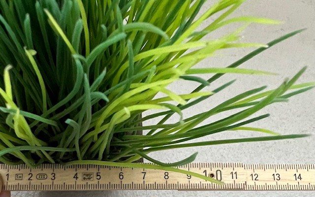 Tutte le decorazioni: Dekogras Plastik in Holztopf – Nuovo (secondo la descrizione) da Thun venduto da Steinitz 1