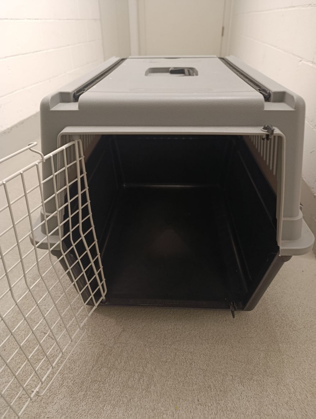 Liege- & Schlafplätze: Transport Box für Tiere  – Gebraucht aus Hinwil von djp_r28f 2