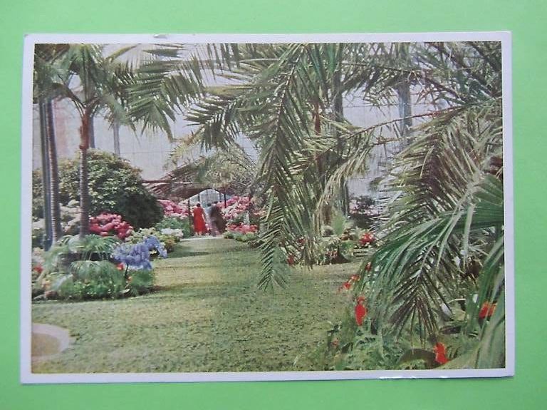 Cartoline postali: 2 Ansichtskarten Tiergarten Wilhelma Stuttgart – Usato da Malters venduto da moc_z8d9 3