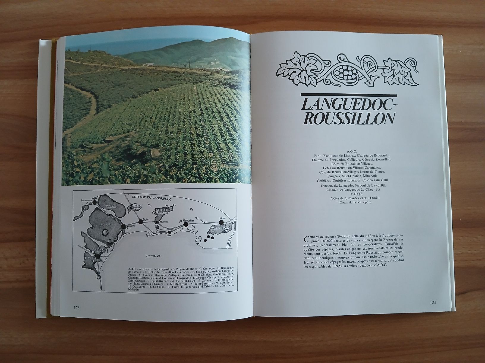 Libri: Le grands vins de France – Usato da Le Sentier venduto da arc_2thy 4