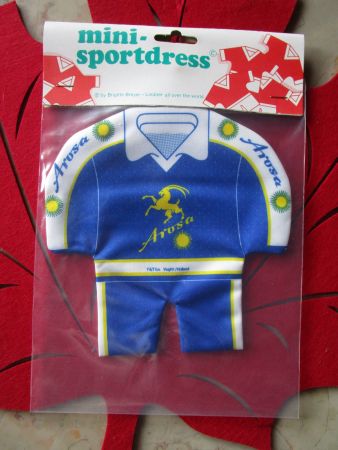 EHC AROSA EISHOCKEY MINI TENU  VON 1986 NEU AUTO DEKO ANTIK
